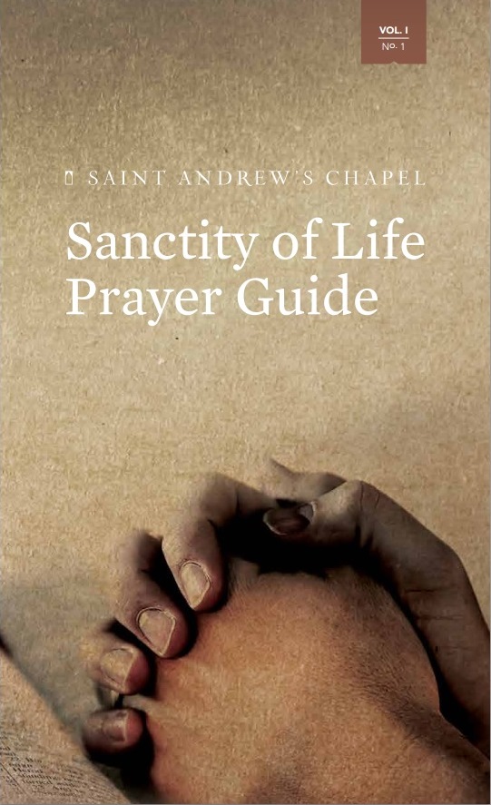 Saint Andrew's abortion prayer guide